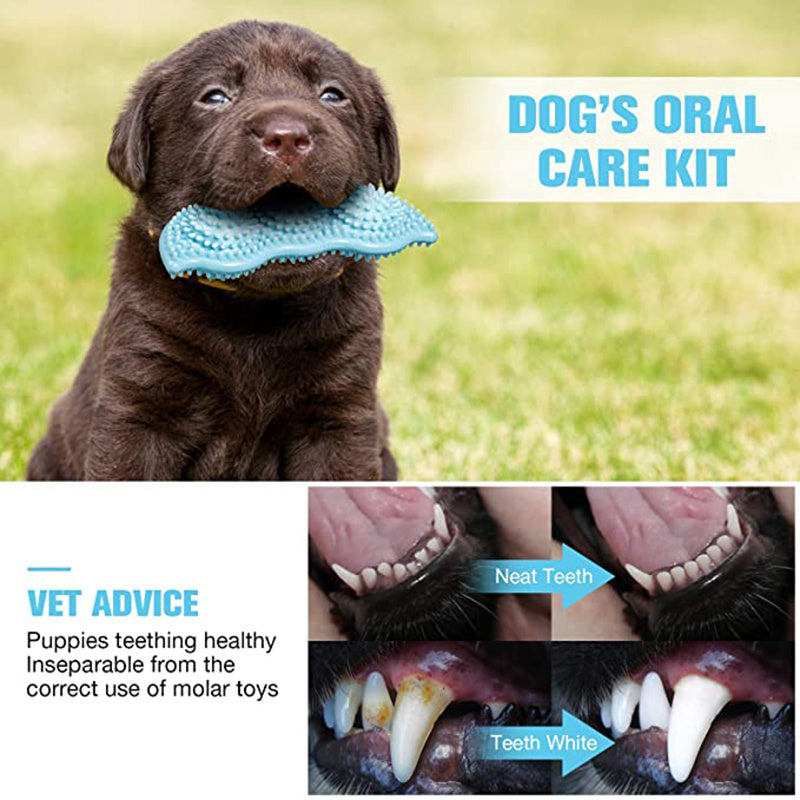 New Pet Toy Chew Teeth Stick Dog Toy Ball Bite Resistant Interaction VELOXRA