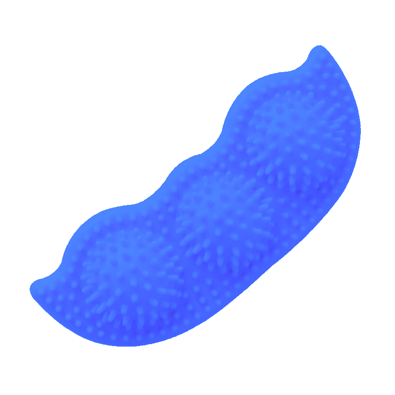 Glow & Grin (Bundle)